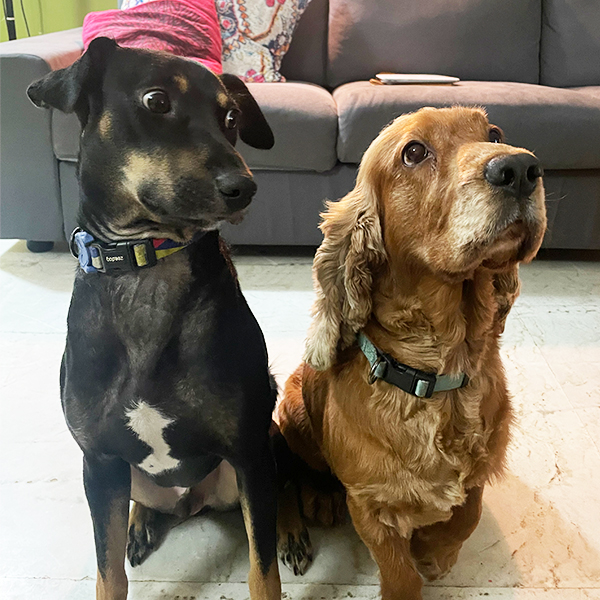 Victor & Dash